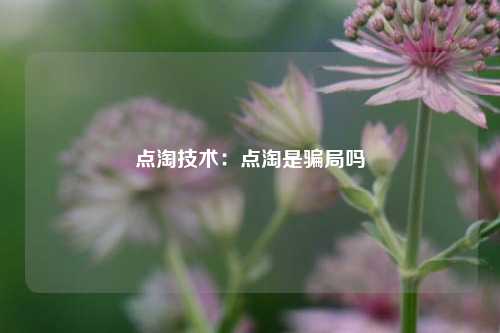 点淘技术：点淘是骗局吗